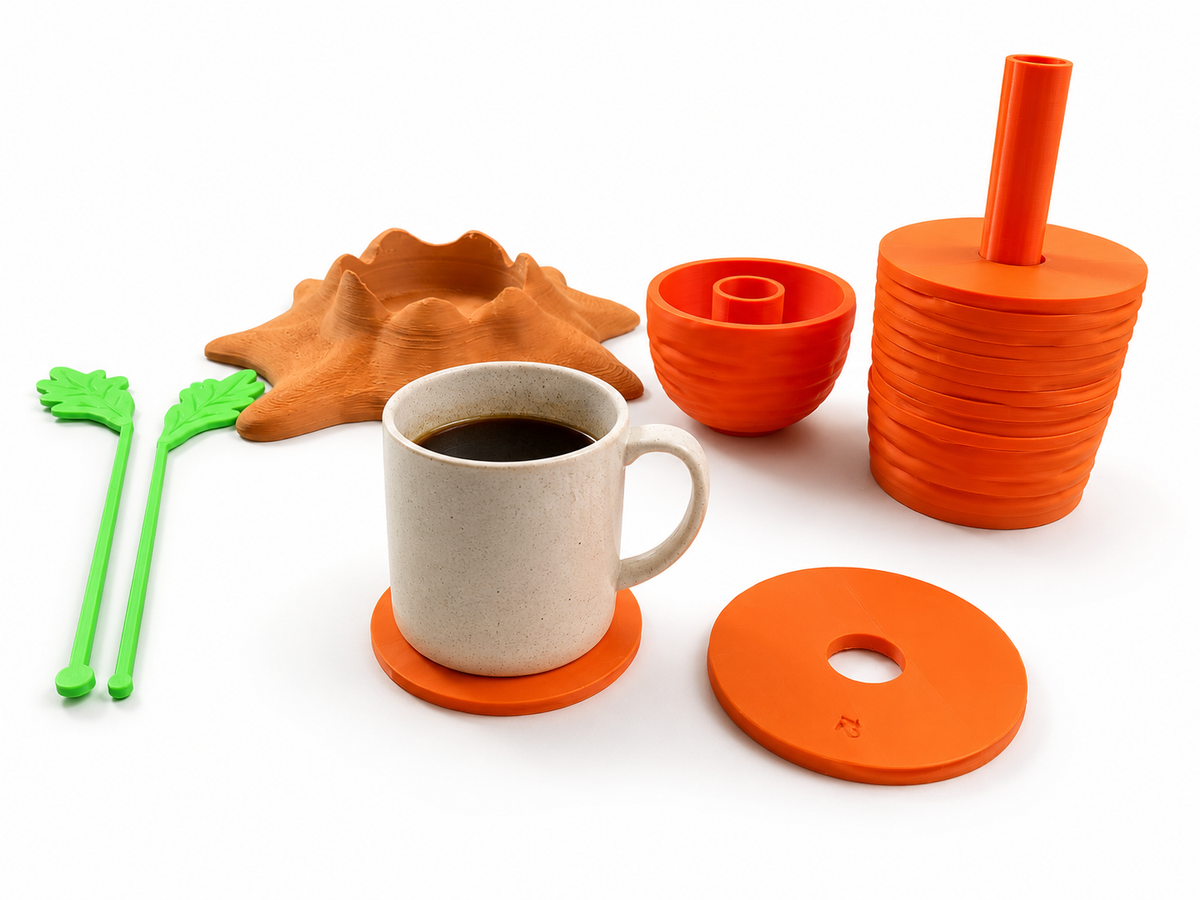 Carrot Coasters & Ashtray (Set of 12)