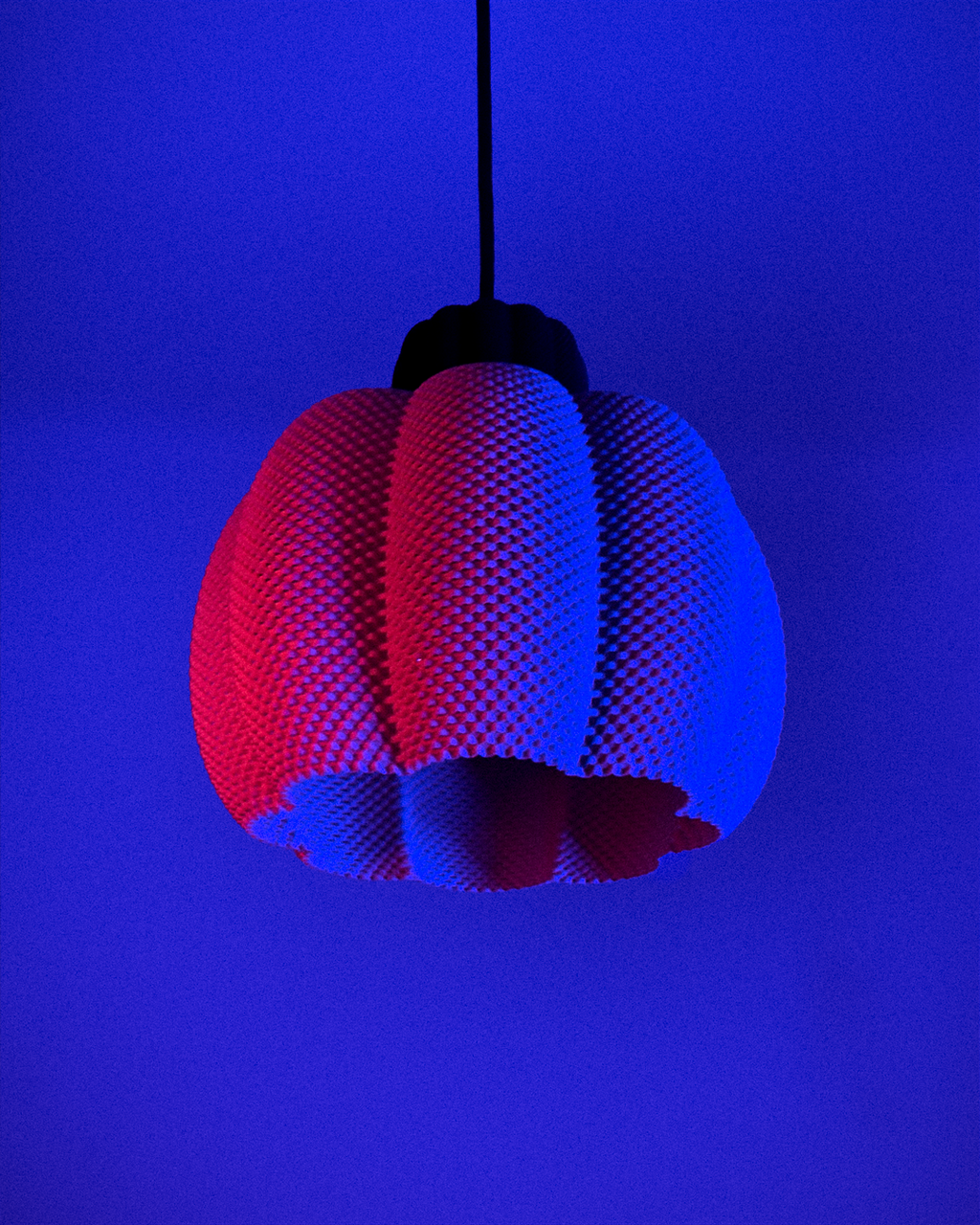 Cala Pendant Lamp