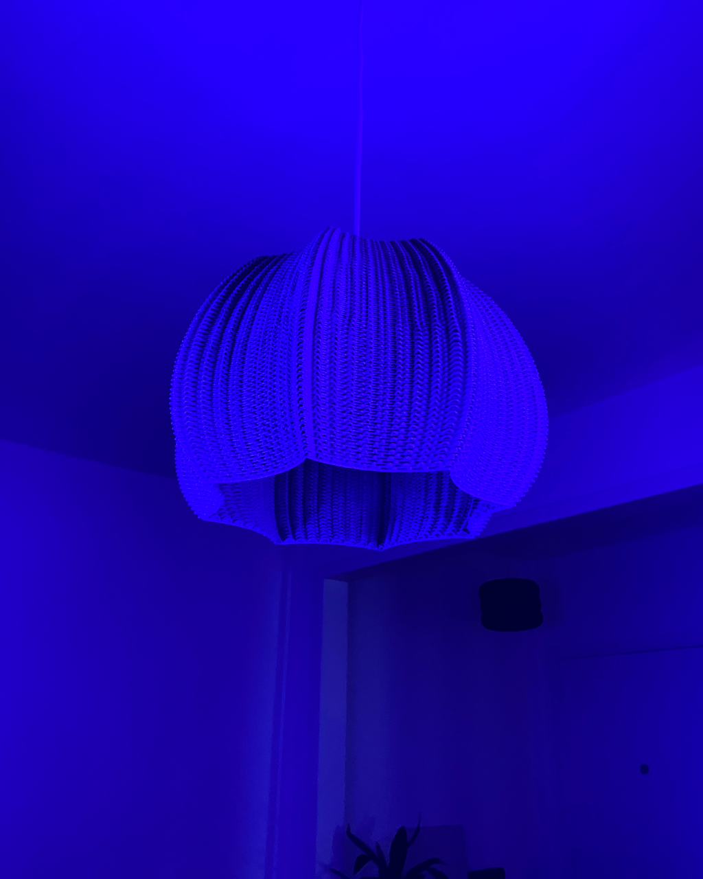 Marisa Pendant Lamp