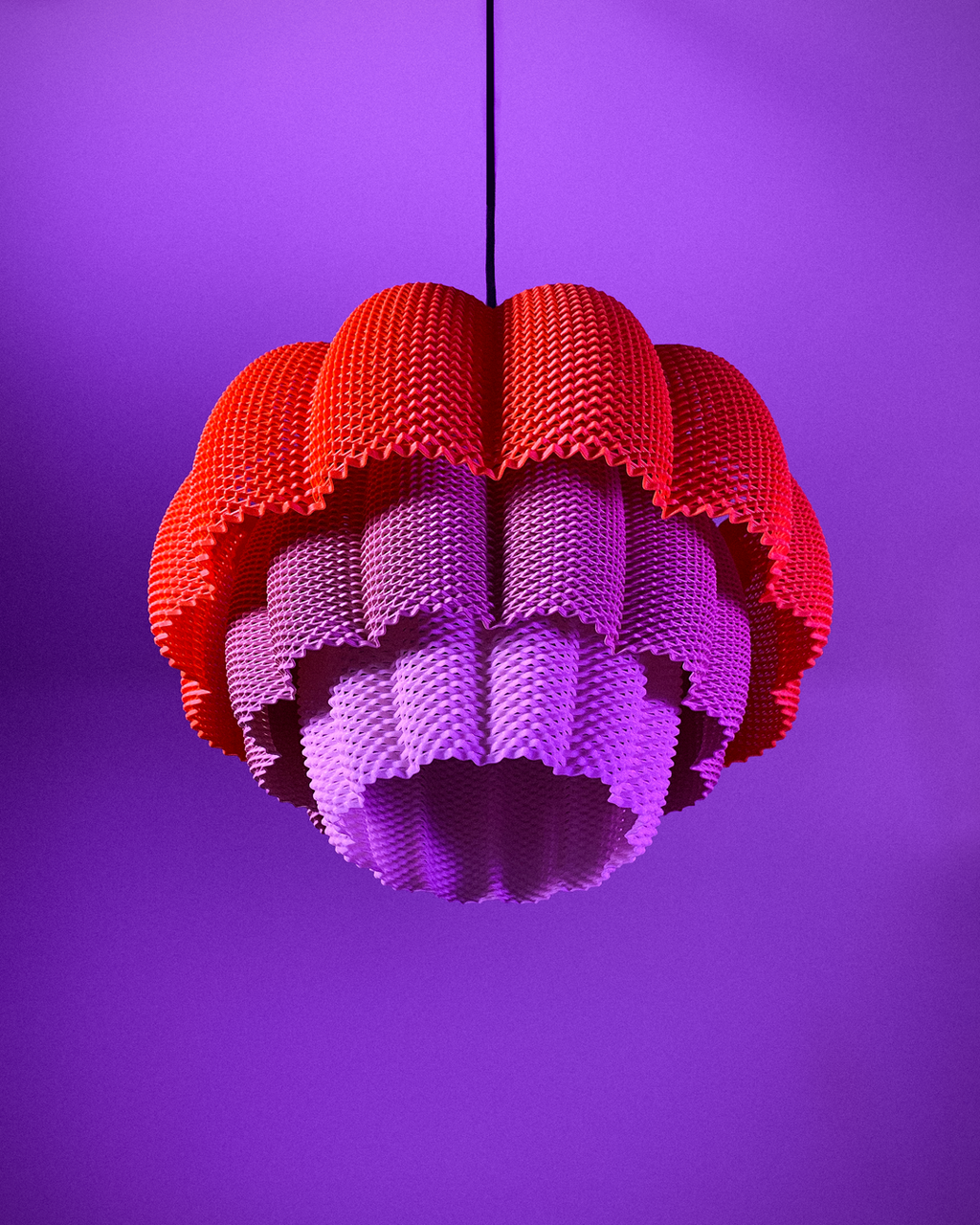 Petunia Pendant Lamp