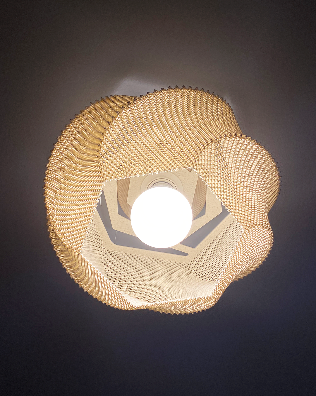 Sofia Wall Lamp