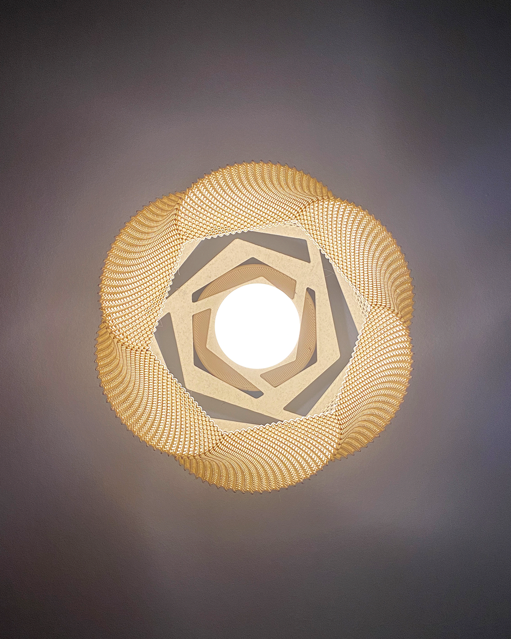 Sofia Wall Lamp