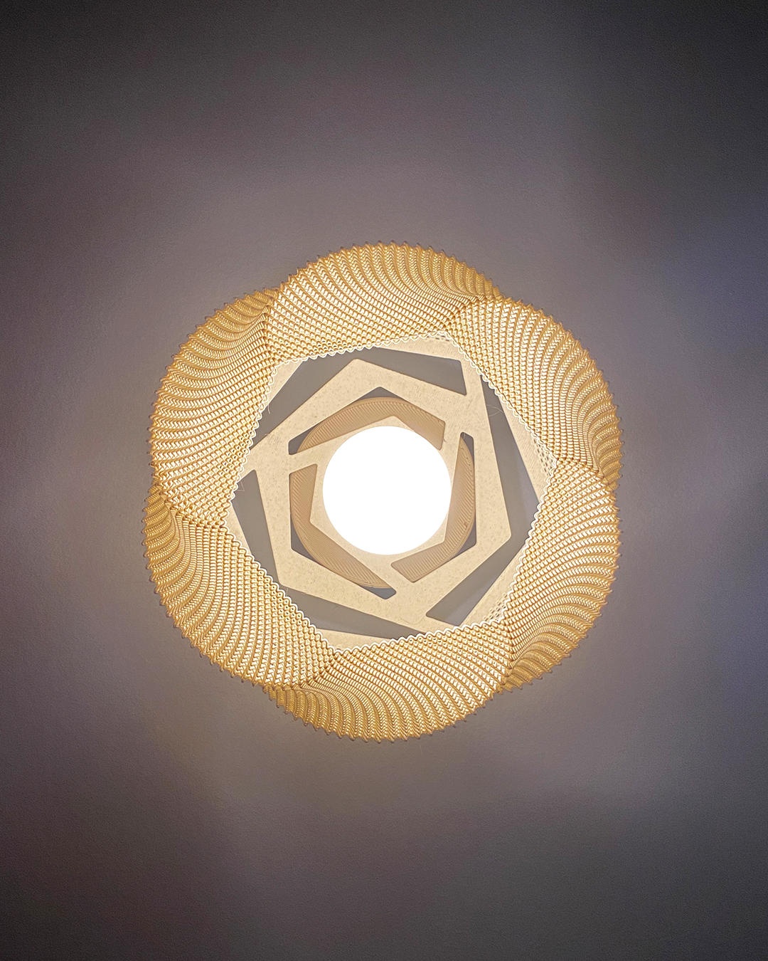 Sofia Wall Lamp