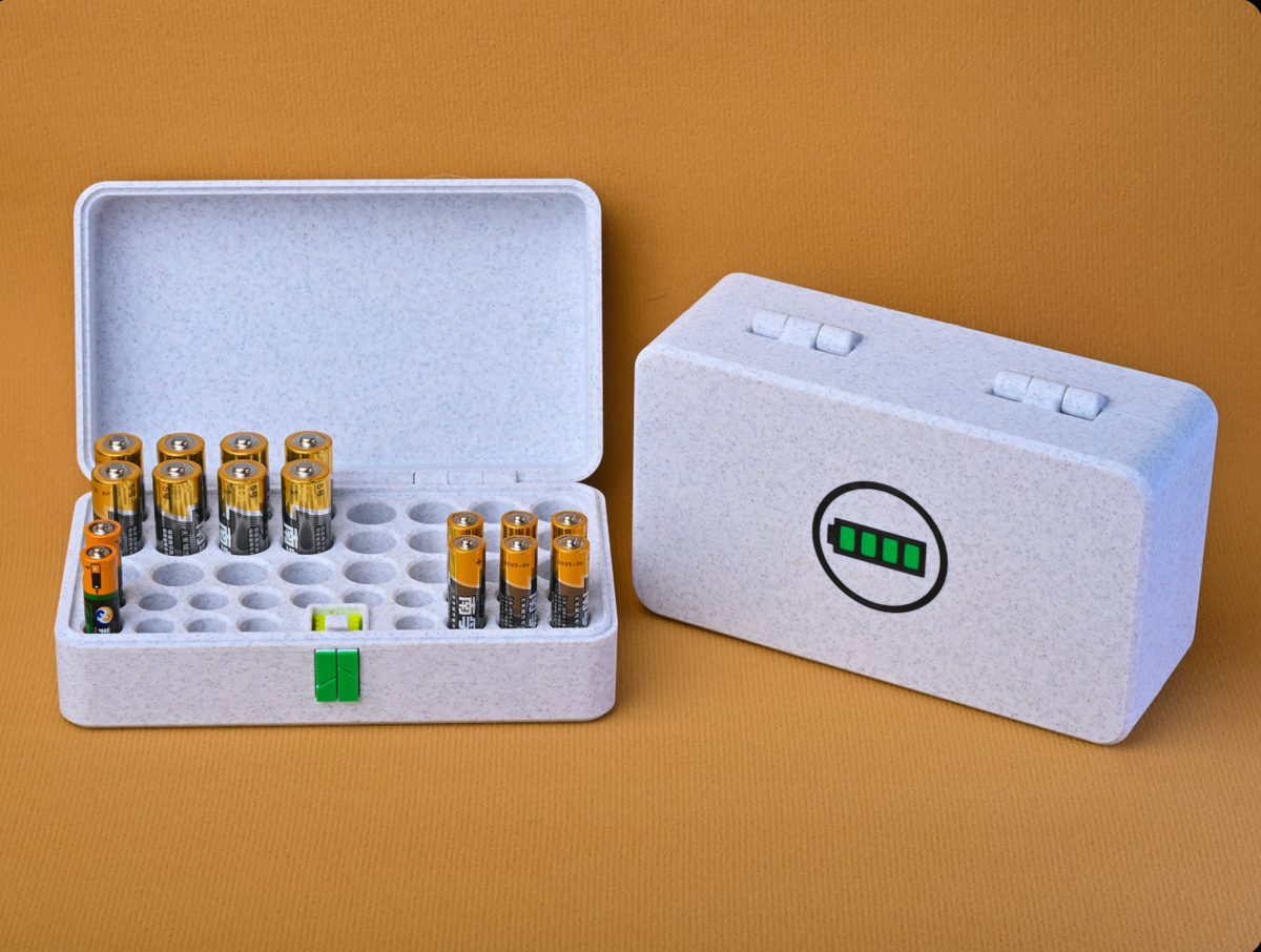 Battery Storage Box (AA & AAA Batteries)