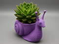 Snail Succulent Planter