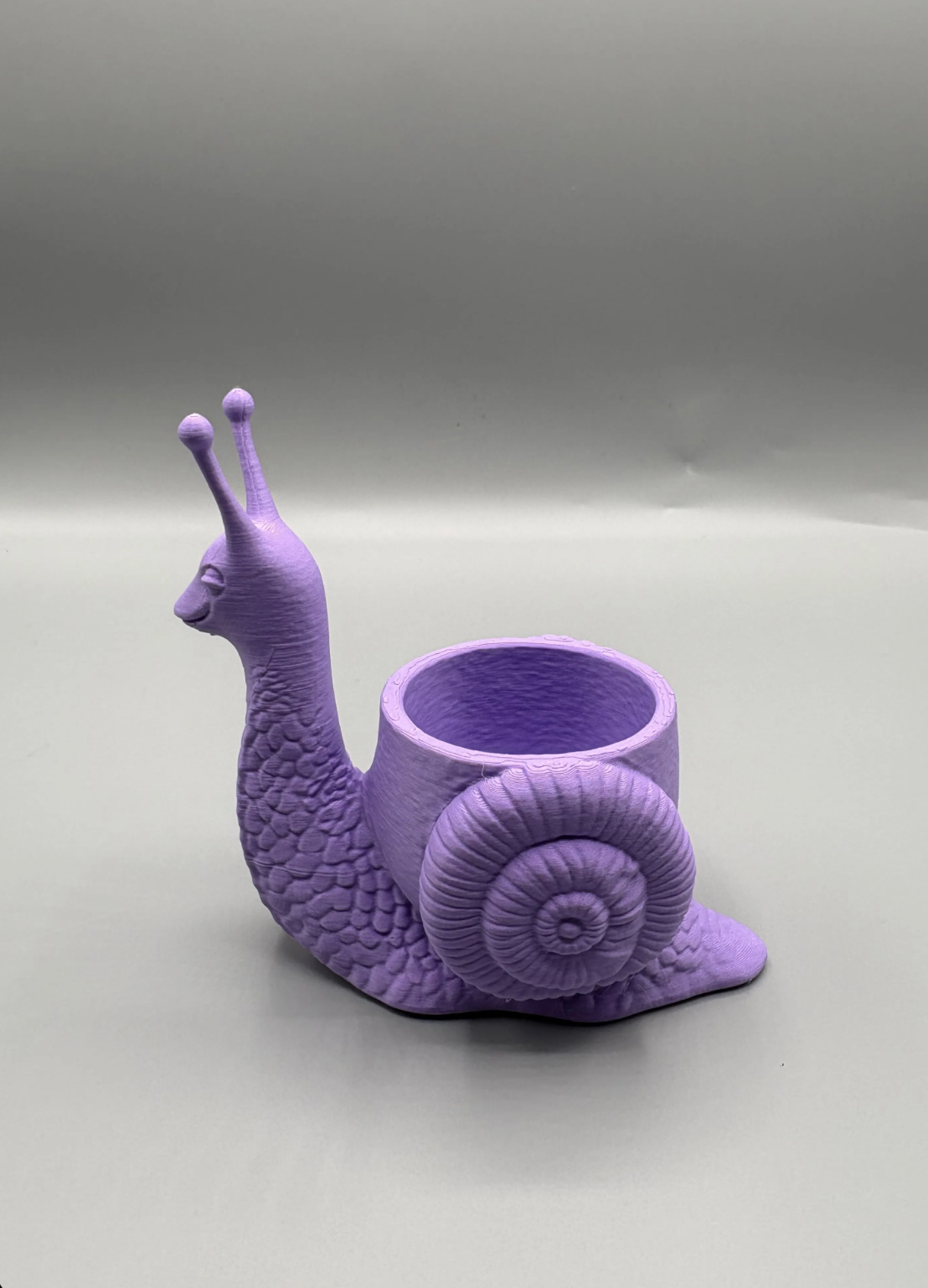 Snail Succulent Planter