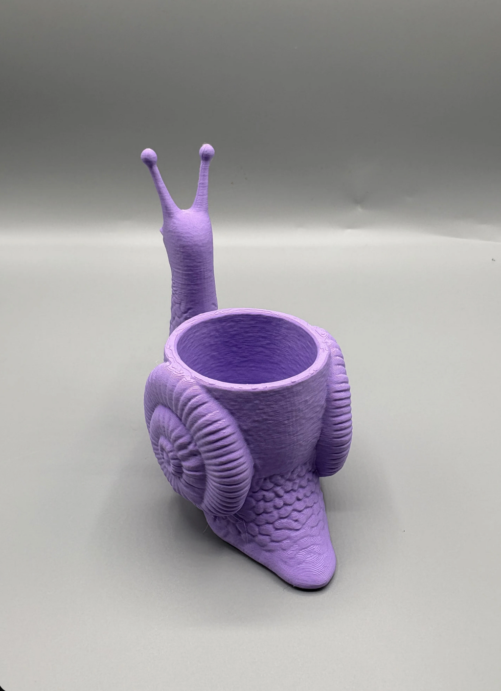 Snail Succulent Planter