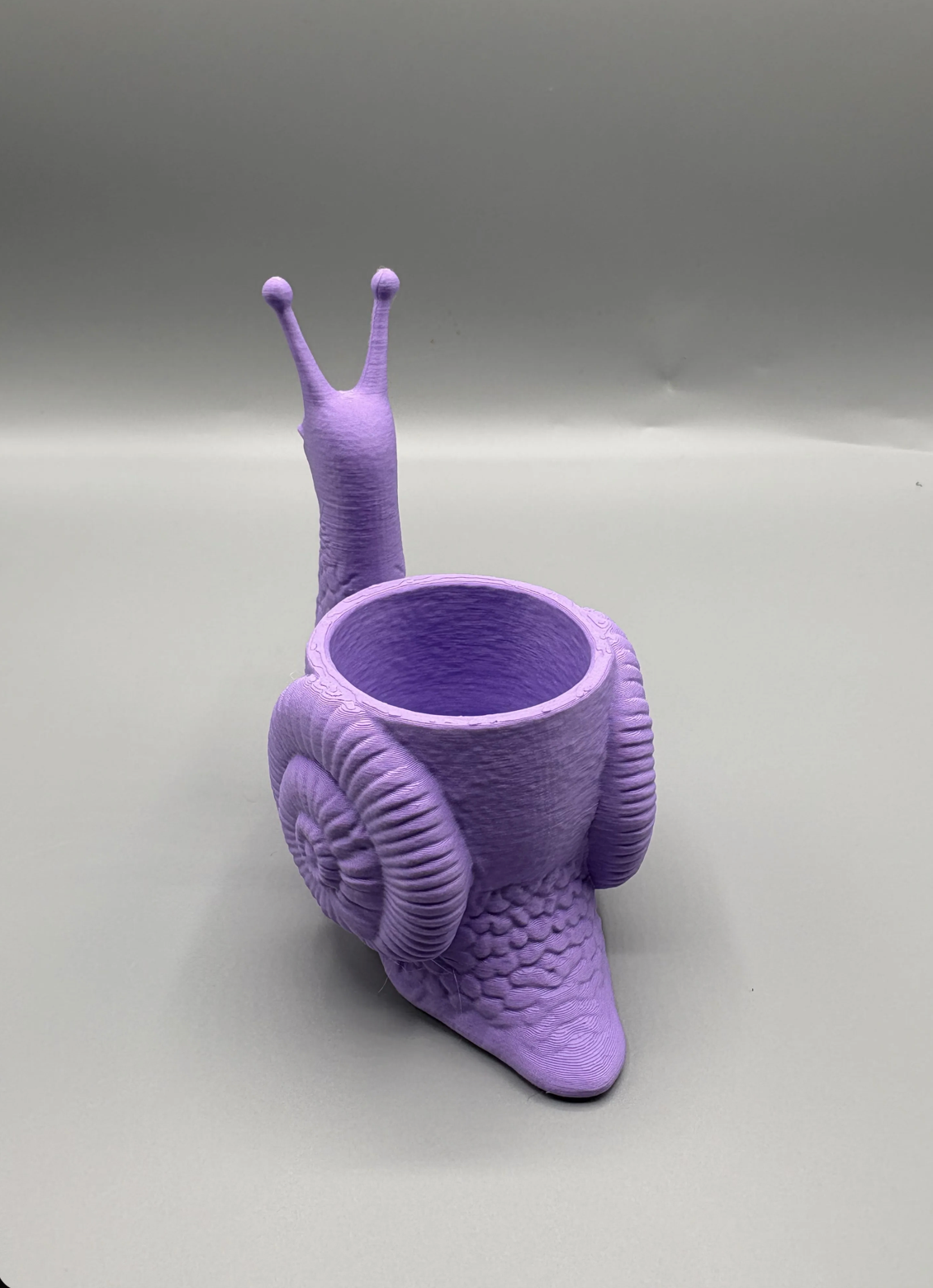Snail Succulent Planter
