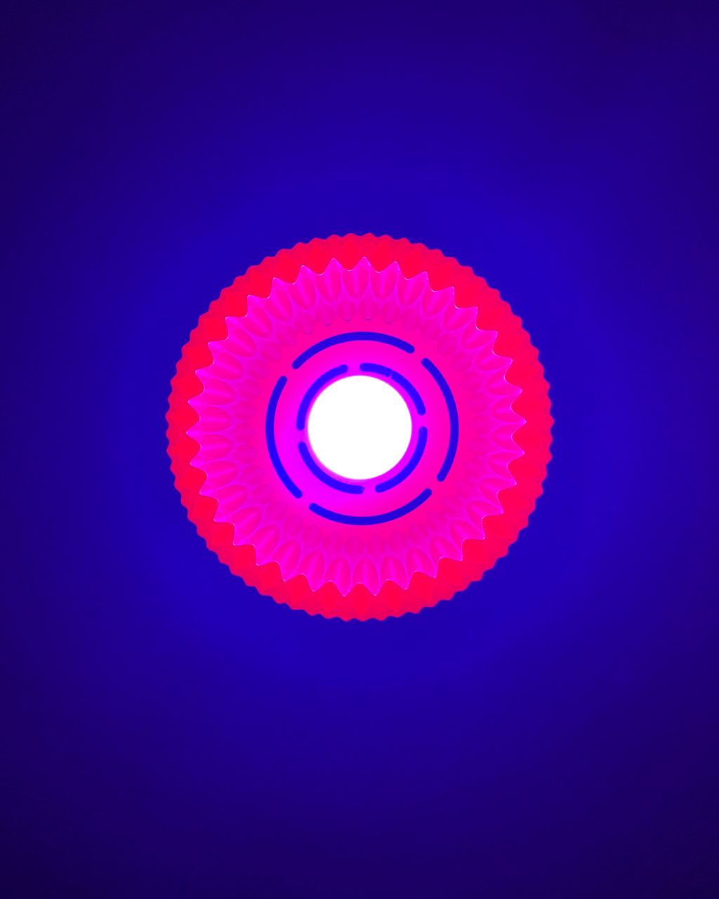 Wavy Pendant Lamp