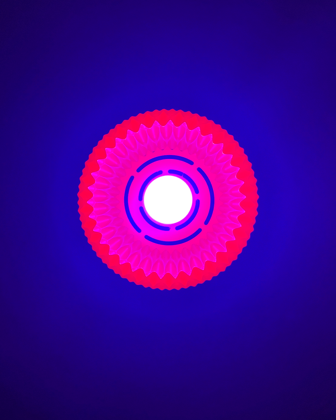Wavy Pendant Lamp